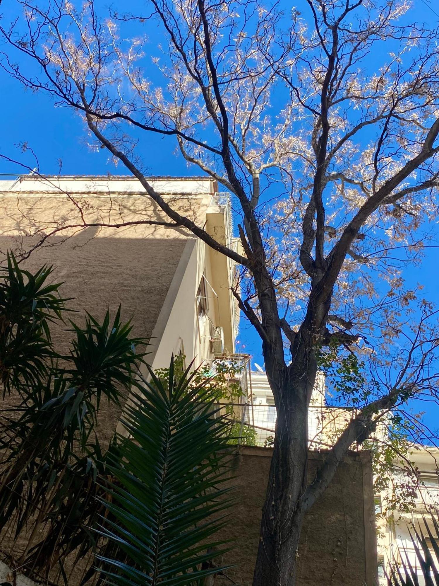 Urban Residence Kolonaki Athens Ngoại thất bức ảnh
